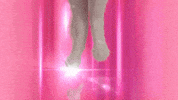 Glow Up White Cat GIF by Fox4Pets