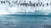 jump fail GIF