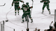 Excited Ice Hockey GIF by NHL