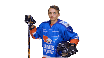 Goal Eagles Sticker by UNIS Flyers