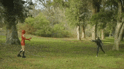 Damn Bean GIF by John-Robert