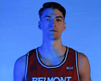 Belmont Bruins GIF by Belmont Athletics
