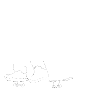 jonasnienhaus art skate skateboard flip Sticker