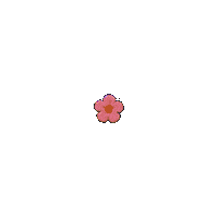 prettynotprettyband pink flower pretty orange Sticker