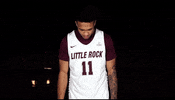 Littlerockmbb GIF by Little Rock Athletics