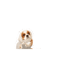 Valentines Day Love Sticker