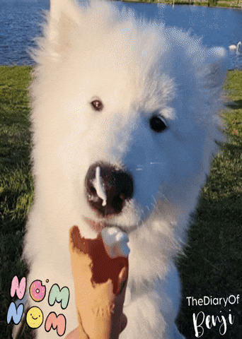 Ice Icecream GIF