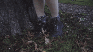 Drag Queen What GIF by Miss Petty