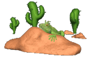 rock sunbathing STICKER