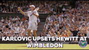 happy celebration GIF by Wimbledon