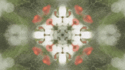 Art Love GIF by jorgemariozuleta