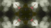 Art Love GIF by jorgemariozuleta