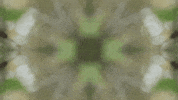 Art Love GIF by jorgemariozuleta
