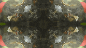 Art Love GIF by jorgemariozuleta