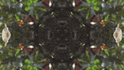 Art Love GIF by jorgemariozuleta