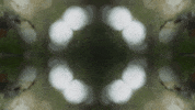 Art Love GIF by jorgemariozuleta