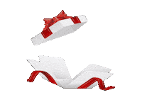 Sety Sticker