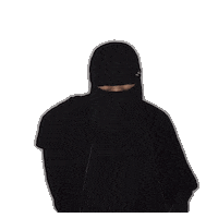 Woman Ninja Sticker by Fynntri