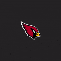 Deandre Hopkins Touchdown GIF by Arizona Cardinals