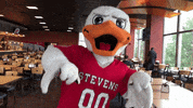 FollowStevens dance celebrate duck attila GIF