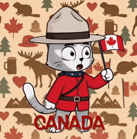 Canadian GIF by Hero Galaxy NFT