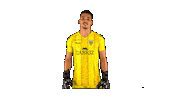 Liga Nos Joel Sticker by CD Tondela
