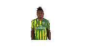 Liga Nos Sticker by CD Tondela