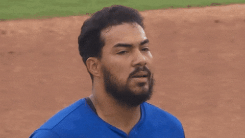 Blue Jays Smh GIF by Toronto Blue Jays