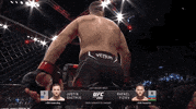 Justin Gaethje Sport GIF by UFC