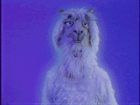 Middle Finger GIF by Fall Out Boy
