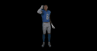 Josh Reynolds Football GIF by Detroit Lions