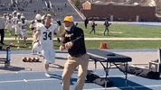 Football Win GIF by Valparaiso University
