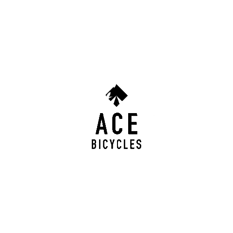 acebicycles giphyupload Sticker
