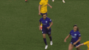 Lets Go Yes GIF by National Women's Soccer League