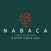 davidchauliatnabaca nabaca GIF