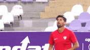 pase la liga GIF by Sevilla Fútbol Club