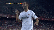 sevilla fc celebration GIF by Sevilla Fútbol Club
