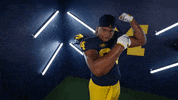 Go Blue College Football GIF by Michigan Athletics