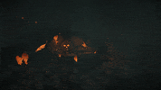 Catacombs Heart Of Fire GIF by Sea of Thieves