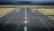 formula 1 race GIF by Red Bull Racing