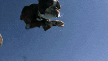 slow motion swimming GIF by HuffPost
