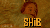 Fud Fudder GIF by SHIB MEMES