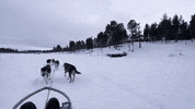 Freezing Fairy Tale GIF by #nikaachris