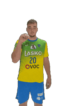 Handball Move Sticker by RK CELJE