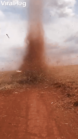 Dust Devil Drifts Across Field