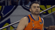 Liga Endesa Basketball GIF by ACB