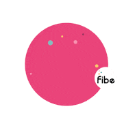 FIBE_PWV  Sticker