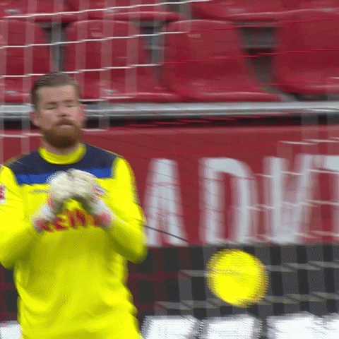 1 Fc Cologne Football GIF by 1. FC Köln