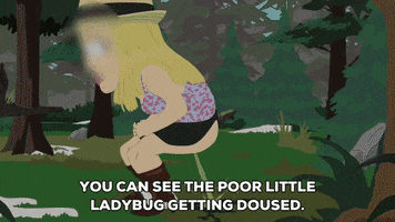 ladybug pooping GIF by South Park 