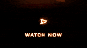 Loop Fire GIF by scottyslittlesoldiers